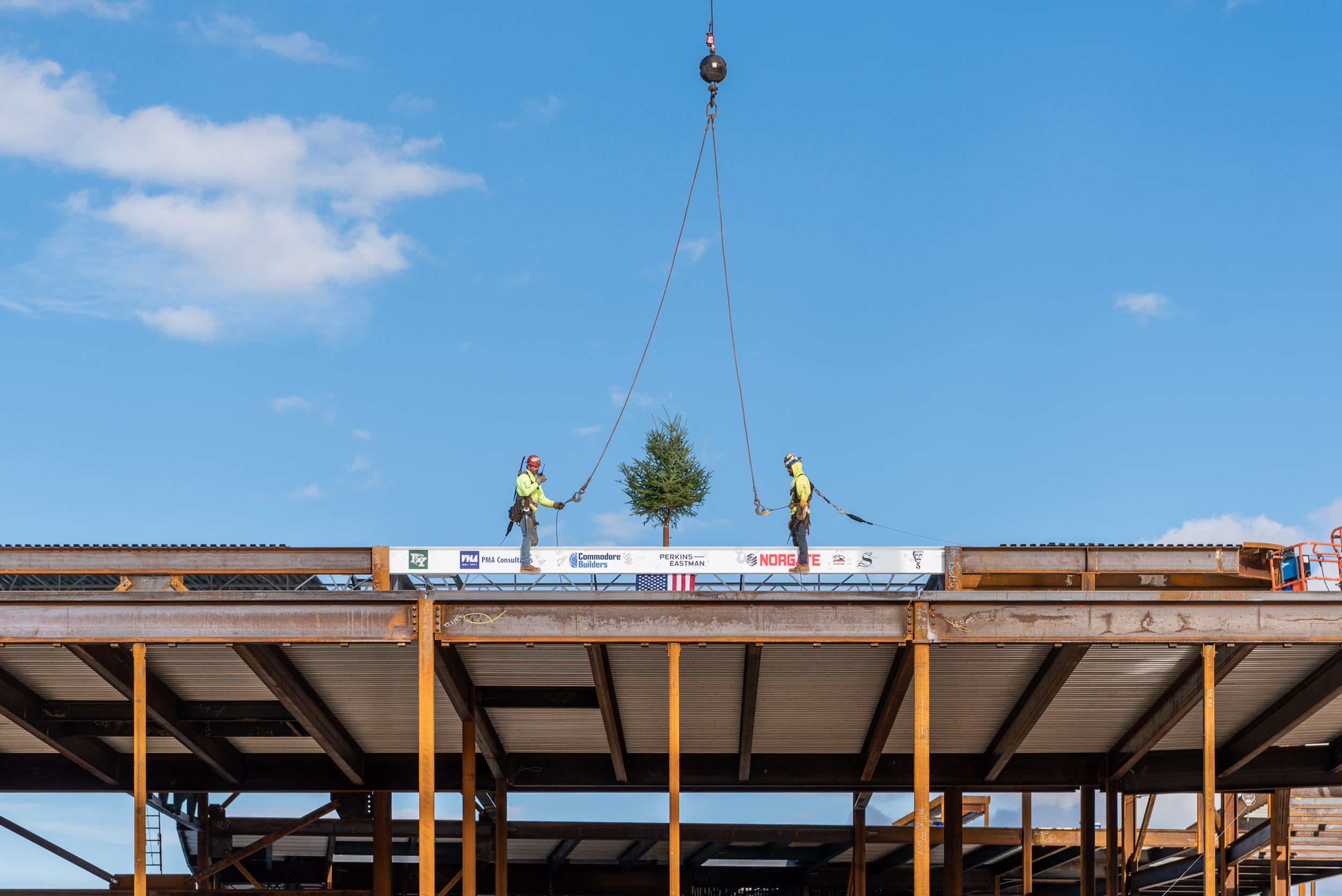 topping-off-tree